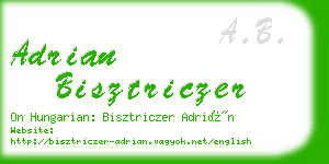 adrian bisztriczer business card